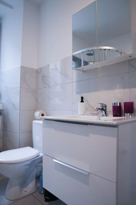Appartement Entier, Proche Tram-Train Et Commodites, Parking Gratuit Mulhouse Exterior photo